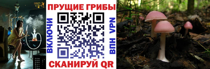 даркнет сайт  Руза  Псилоцибиновые грибы Cubensis 