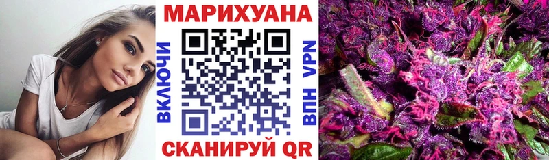 Канабис семена  Руза 